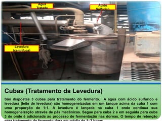 Levedura 
(centrífuga) 
Água 
Tratada 
Ácido 
Sulfúrico 
Cubas (Tratamento da Levedura) 
São dispostas 3 cubas para tratamento do fermento. A água com ácido sulfúrico e 
levedura (leite de levedura) são homogeneizadas em um tanque acima da cuba 1 com 
uma proporção de 1:1. A levedura é lançada na cuba 1 onde continua sua 
homogeneização através de pás mecânicas. Segue para cuba 2 e em seguida para cuba 
3 de onde é adicionada ao processo de fermentação nas dornas. O tempo de retenção 
para tratamento do fermento dura em média de 1–3 horas. 
 