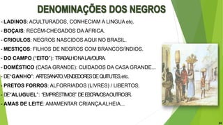 - LADINOS: ACULTURADOS, CONHECIAM A LINGUA etc.
- BOÇAIS: RECÉM-CHEGADOS DA ÁFRICA.
- CRIOULOS: NEGROS NASCIDOS AQUI NO BRASIL.
- MESTIÇOS: FILHOS DE NEGROS COM BRANCOS/ÍNDIOS.
- DO CAMPO (“EITO”): TRABALHONALAVOURA.
- DOMÉSTICO (CASA GRANDE): CUIDADOS DA CASA GRANDE...
- DE“GANHO”: ARTESANA
TO,VENDEDORESDEQUITUTES,etc.
- PRETOS FORROS: ALFORRIADOS (LIVRES) / LIBERTOS.
- DE“ALUGUEL”: “EMPRÉSTIMOS” DEESCRA
VOSAOUTROSR.
- AMAS DE LEITE: AMAMENTAR CRIANÇAALHEIA...
24
 