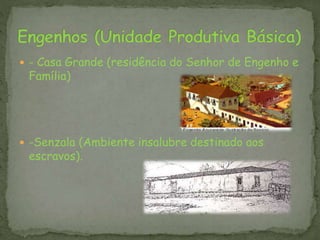  - Casa Grande (residência do Senhor de Engenho e
Família)
 -Senzala (Ambiente insalubre destinado aos
escravos).
 