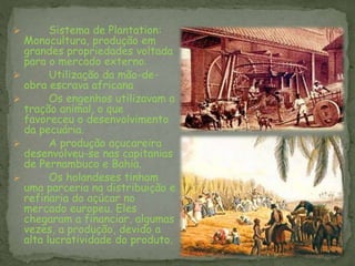  Sistema de Plantation:
Monocultura, produção em
grandes propriedades voltada
para o mercado externo.
 Utilização da mão-de-
obra escrava africana
 Os engenhos utilizavam a
tração animal, o que
favoreceu o desenvolvimento
da pecuária.
 A produção açucareira
desenvolveu-se nas capitanias
de Pernambuco e Bahia.
 Os holandeses tinham
uma parceria na distribuição e
refinaria do açúcar no
mercado europeu. Eles
chegaram a financiar, algumas
vezes, a produção, devido a
alta lucratividade do produto.
 