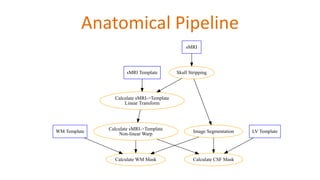 Anatomical Pipeline
sMRI
Skull StrippingsMRI Template
Calculate sMRI->Template
Linear Transform
WM Template
Calculate WM Mask
LV Template
Calculate CSF Mask
Image Segmentation
Calculate sMRI->Template
Non-linear Warp
 