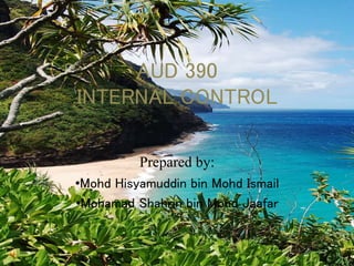 AUD 390
INTERNAL CONTROL
Prepared by:
•Mohd Hisyamuddin bin Mohd Ismail
•Mohamad Shahrin bin Mohd Jaafar
 