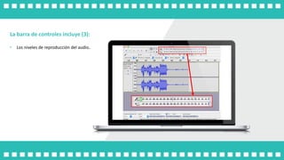 La barra de controles incluye (3):
• Los niveles de reproducción del audio.
 