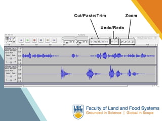 Cut/Paste/Trim Undo/Redo Zoom 