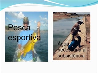 Pesca  esportiva Água necessária a subsistência 