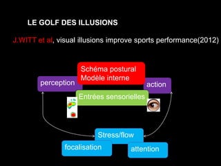 LE GOLF DES ILLUSIONS 
J.WITT et al, visual illusions improve sports performance(2012) 
Schéma postural 
Modèle interne 
perception action 
Entrées sensorielles 
Stress/flow 
focalisation attention 
 