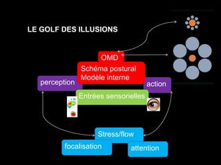 LE GOLF DES ILLUSIONS 
OMD 
Schéma postural 
Modèle interne 
perception action 
Entrées sensorielles 
Stress/flow 
focalisation attention 
 