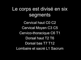 Le corps est divisé en six 
segments 
Cervical haut C0 C2 
Cervical Moyen C3 C5 
Cervico-thoracique C6 T1 
Dorsal haut T2 T6 
Dorsal bas T7 T12 
Lombaire et sacré L1 Sacrum 
 