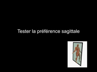 Tester la préférence sagittale 
 