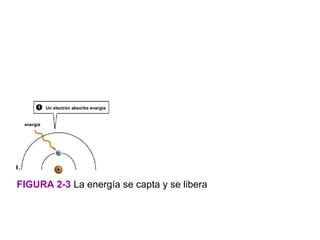 Un electrón absorbe energía


 energía




FIGURA 2-3 La energía se capta y se libera
 