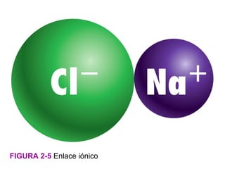 FIGURA 2-5 Enlace iónico
 