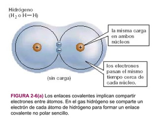 FIGURA 2-6(a) Los enlaces covalentes implican compartir
electrones entre átomos. En el gas hidrógeno se comparte un
electrón de cada átomo de hidrógeno para formar un enlace
covalente no polar sencillo.
 