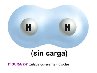 (sin carga)
FIGURA 2-7 Enlace covalente no polar
 