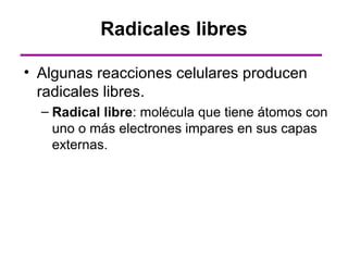Radicales libres

• Algunas reacciones celulares producen
  radicales libres.
  – Radical libre: molécula que tiene átomos con
    uno o más electrones impares en sus capas
    externas.
 