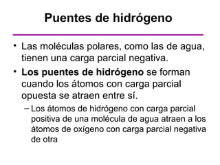 Puentes de hidrógeno

• Las moléculas polares, como las de agua,
  tienen una carga parcial negativa.
• Los puentes de hidrógeno se forman
  cuando los átomos con carga parcial
  opuesta se atraen entre sí.
  – Los átomos de hidrógeno con carga parcial
    positiva de una molécula de agua atraen a los
    átomos de oxígeno con carga parcial negativa
    de otra
 