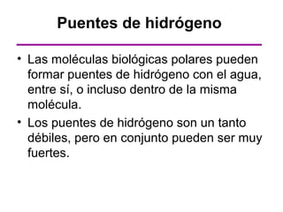 Puentes de hidrógeno

• Las moléculas biológicas polares pueden
  formar puentes de hidrógeno con el agua,
  entre sí, o incluso dentro de la misma
  molécula.
• Los puentes de hidrógeno son un tanto
  débiles, pero en conjunto pueden ser muy
  fuertes.
 