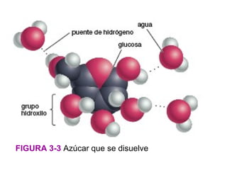 FIGURA 3-3 Azúcar que se disuelve
 