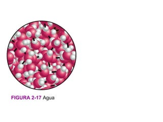 FIGURA 2-17 Agua
 