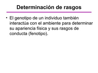 Determinación de rasgos
• El genotipo de un individuo también
  interactúa con el ambiente para determinar
  su apariencia física y sus rasgos de
  conducta (fenotipo).
 