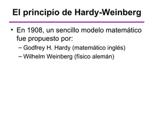 El principio de Hardy-Weinberg
• En 1908, un sencillo modelo matemático
  fue propuesto por:
  – Godfrey H. Hardy (matemático inglés)
  – Wilhelm Weinberg (físico alemán)
 