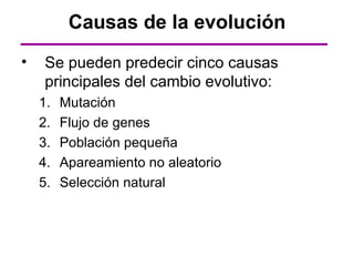 Causas de la evolución
•    Se pueden predecir cinco causas
     principales del cambio evolutivo:
    1.   Mutación
    2.   Flujo de genes
    3.   Población pequeña
    4.   Apareamiento no aleatorio
    5.   Selección natural
 