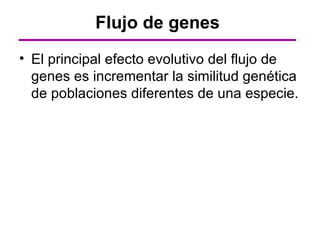 Flujo de genes
• El principal efecto evolutivo del flujo de
  genes es incrementar la similitud genética
  de poblaciones diferentes de una especie.
 