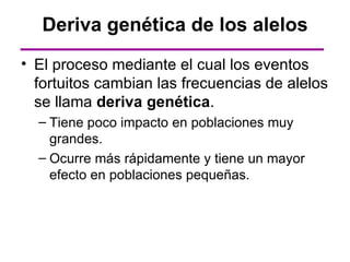 Deriva genética de los alelos
• El proceso mediante el cual los eventos
  fortuitos cambian las frecuencias de alelos
  se llama deriva genética.
  – Tiene poco impacto en poblaciones muy
    grandes.
  – Ocurre más rápidamente y tiene un mayor
    efecto en poblaciones pequeñas.
 