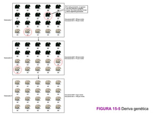 FIGURA 15-5 Deriva genética
 