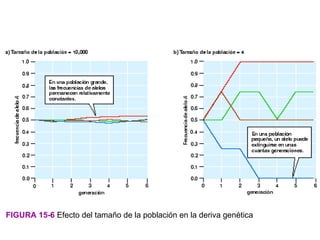 FIGURA 15-6 Efecto del tamaño de la población en la deriva genética
 