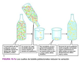 FIGURA 15-7a Los cuellos de botella poblacionales reducen la variación
 