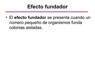 Efecto fundador
• El efecto fundador se presenta cuando un
  número pequeño de organismos funda
  colonias aisladas.
 