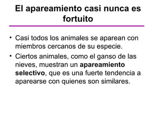 El apareamiento casi nunca es
            fortuito

• Casi todos los animales se aparean con
  miembros cercanos de su especie.
• Ciertos animales, como el ganso de las
  nieves, muestran un apareamiento
  selectivo, que es una fuerte tendencia a
  aparearse con quienes son similares.
 