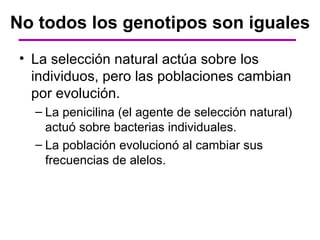 No todos los genotipos son iguales
 • La selección natural actúa sobre los
   individuos, pero las poblaciones cambian
   por evolución.
   – La penicilina (el agente de selección natural)
     actuó sobre bacterias individuales.
   – La población evolucionó al cambiar sus
     frecuencias de alelos.
 