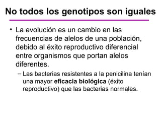 No todos los genotipos son iguales
 • La evolución es un cambio en las
   frecuencias de alelos de una población,
   debido al éxito reproductivo diferencial
   entre organismos que portan alelos
   diferentes.
   – Las bacterias resistentes a la penicilina tenían
     una mayor eficacia biológica (éxito
     reproductivo) que las bacterias normales.
 