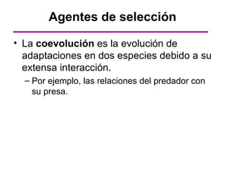 Agentes de selección

• La coevolución es la evolución de
  adaptaciones en dos especies debido a su
  extensa interacción.
  – Por ejemplo, las relaciones del predador con
    su presa.
 