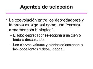 Agentes de selección

• La coevolución entre los depredadores y
  la presa es algo así como una “carrera
  armamentista biológica”.
  – El lobo depredador selecciona a un ciervo
    lento o descuidado.
  – Los ciervos veloces y alertas seleccionan a
    los lobos lentos y descuidados.
 