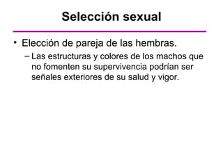 Selección sexual

• Elección de pareja de las hembras.
  – Las estructuras y colores de los machos que
    no fomenten su supervivencia podrían ser
    señales exteriores de su salud y vigor.
 