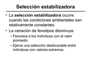 Selección estabilizadora
• La selección estabilizadora ocurre
  cuando las condiciones ambientales son
  relativamente constantes.
• La variación de fenotipos disminuye:
  – Favorece a los individuos con el valor
    promedio.
  – Ejerce una selección desfavorable entre
    individuos con valores extremos.
 