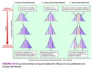FIGURA 15-13 Las tres formas en que la selección influye en una población con
el paso del tiempo
 