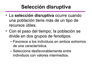 Selección disruptiva
• La selección disruptiva ocurre cuando
  una población tiene más de un tipo de
  recursos útiles.
• Con el paso del tiempo, la población se
  divide en dos grupos de fenotipos.
  – Favorece a los individuos en ambos extremos
    de una característica.
  – Selecciona desfavorablemente entre
    individuos con valores intermedios.
 