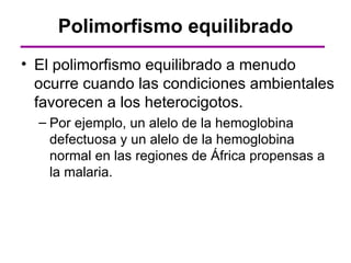Polimorfismo equilibrado
• El polimorfismo equilibrado a menudo
  ocurre cuando las condiciones ambientales
  favorecen a los heterocigotos.
  – Por ejemplo, un alelo de la hemoglobina
    defectuosa y un alelo de la hemoglobina
    normal en las regiones de África propensas a
    la malaria.
 