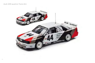 Audi 200 quattro Trans Am




94
 