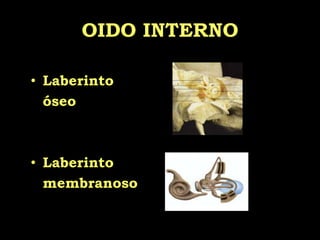  ...Sonoridad	Magnitud subjetiva que identifica la sensación sonora de un sonido en un oyente.La sensibilidad del oído humano varía con la frecuencia del sonido (para sonidos puros).Por tanto, no hay una relación unívoca entre presión o intensidad sonora y sonoridad.Nivel de sonoridad:    fonios
