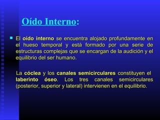 Oído Interno:
 ElEl oído internooído interno se encuentra alojado profundamente ense encuentra alojado profundamente en
el hueso temporal y está formado por una serie deel hueso temporal y está formado por una serie de
estructuras complejas que se encargan de la audición y elestructuras complejas que se encargan de la audición y el
equilibrio del ser humano.equilibrio del ser humano.
LaLa cócleacóclea y losy los canales semicircularescanales semicirculares constituyen elconstituyen el
laberinto óseolaberinto óseo. Los tres canales semicirculares. Los tres canales semicirculares
(posterior, superior y lateral) intervienen en el equilibrio.(posterior, superior y lateral) intervienen en el equilibrio.
 