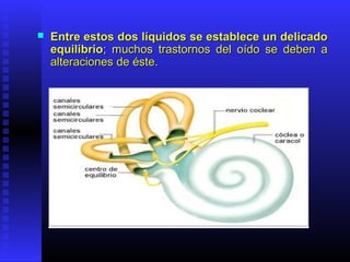  Entre estos dos líquidos se establece un delicadoEntre estos dos líquidos se establece un delicado
equilibrioequilibrio; muchos trastornos del oído se deben a; muchos trastornos del oído se deben a
alteraciones de éste.alteraciones de éste.
 