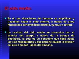 El oído medio:El oído medio:
 En él, las vibraciones del tímpano se amplifican yEn él, las vibraciones del tímpano se amplifican y
trasmiten hasta el oído interno, a través de unostrasmiten hasta el oído interno, a través de unos
huesecillos denominados martillo, yunque y estribo.huesecillos denominados martillo, yunque y estribo.
 La cavidad del oído medio se comunica con el
exterior del cuerpo a través de la trompa de
Eustaquio, la cual es un conducto que llega hasta
las vías respiratorias y que permite igualar la presión
del aire a ambos lados del tímpano.
 