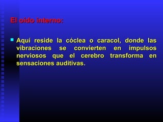 El oído interno:El oído interno:
 Aquí reside la cóclea o caracol, donde lasAquí reside la cóclea o caracol, donde las
vibraciones se convierten en impulsosvibraciones se convierten en impulsos
nerviosos que el cerebro transforma ennerviosos que el cerebro transforma en
sensaciones auditivassensaciones auditivas..
 