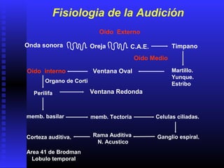 Fisiologia de la Audición
Oído Externo
Oído Medio
Oído interno Martillo.
Yunque.
Estribo
Corteza auditiva.
Onda sonora Oreja C.A.E. Timpano
Ventana Oval
Perilifa
memb. basilar
Ventana Redonda
memb. Tectoria Celulas ciliadas.
Organo de Corti
Ganglio espiral.Rama Auditiva
N. Acustico
Area 41 de Brodman
Lobulo temporal
 