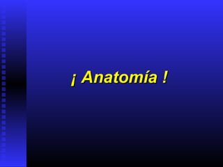 ¡ Anatomía !¡ Anatomía !
 
