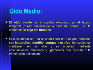 Oído Medio:
 ElEl oído mediooído medio se encuentra excavado en el huesose encuentra excavado en el hueso
temporal (hueso bilateral de la base del cráneo), en latemporal (hueso bilateral de la base del cráneo), en la
denominadadenominada caja del tímpanocaja del tímpano..
 El oído medio es una cavidad llena de aire que contieneEl oído medio es una cavidad llena de aire que contiene
tres huesecillos:tres huesecillos: martillomartillo,, yunqueyunque yy estriboestribo, los cuales se, los cuales se
mantienen en su sitio y se mueven mediantemantienen en su sitio y se mueven mediante
articulaciones, músculos y ligamentos que ayudan a laarticulaciones, músculos y ligamentos que ayudan a la
transmisión del sonidotransmisión del sonido..
 
